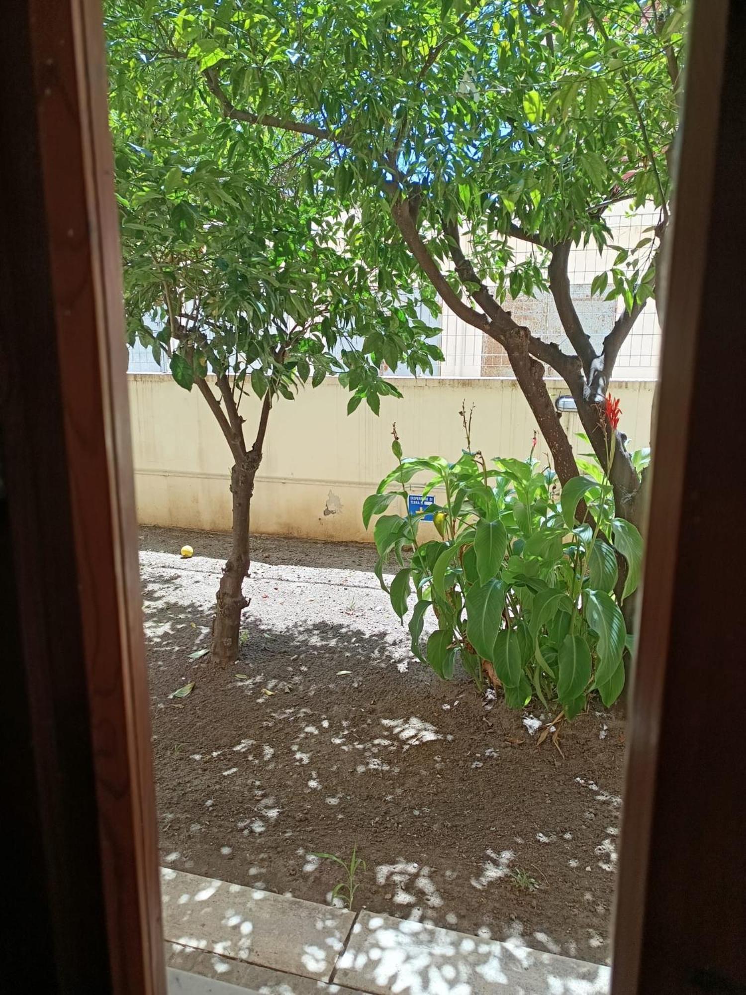 Il Giardino Di Nora *