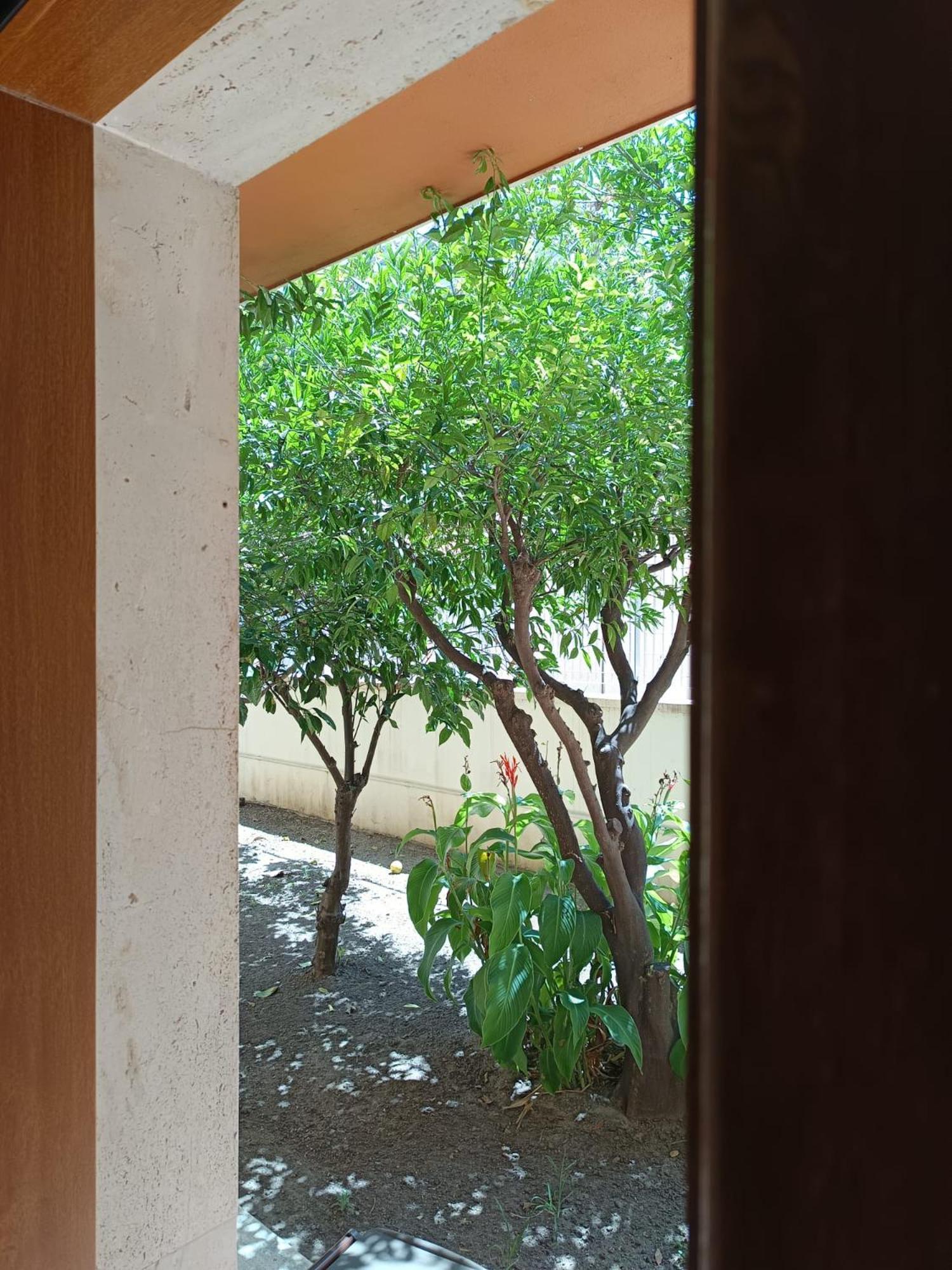 Il Giardino Di Nora Alghero
