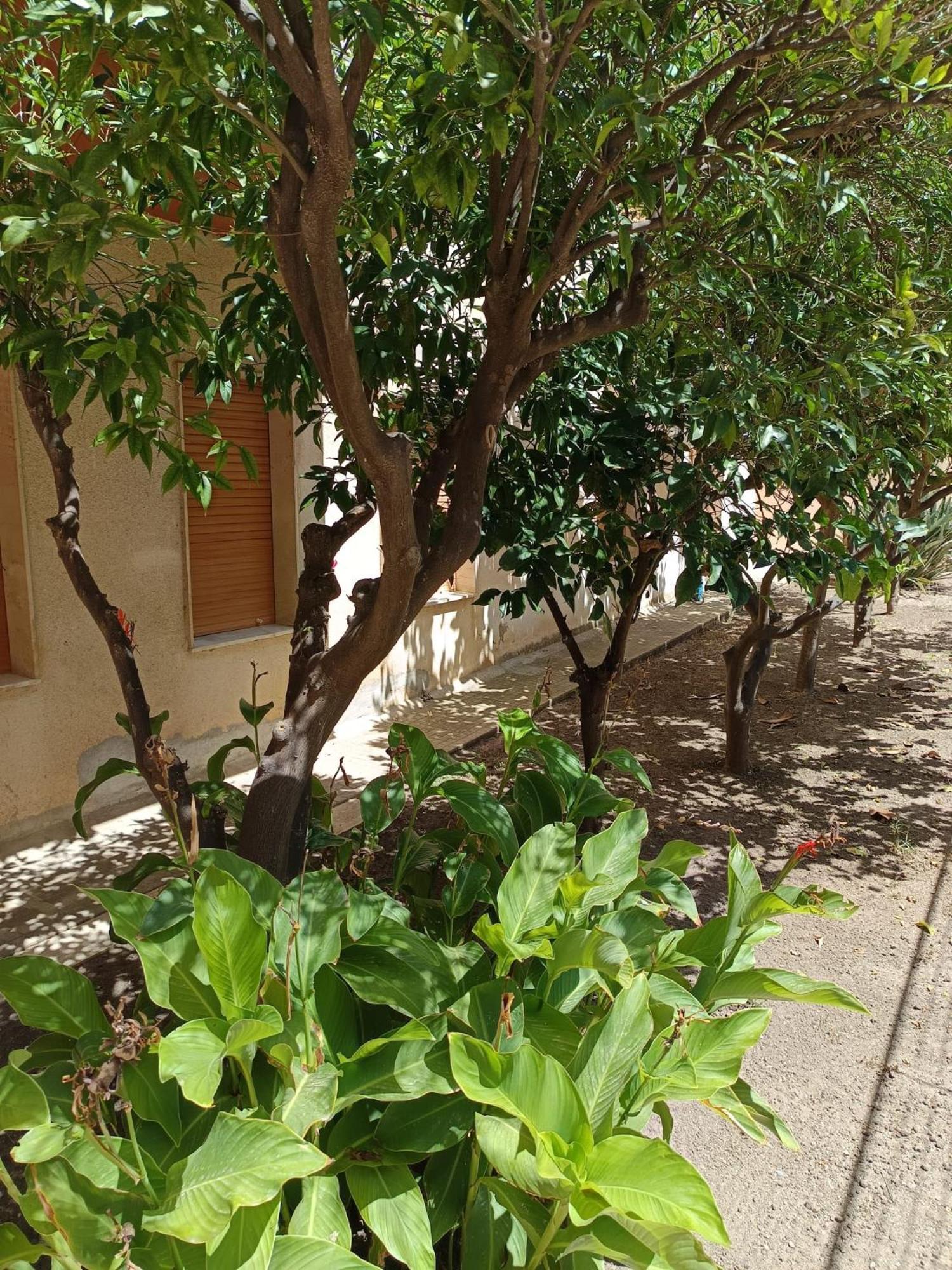 Il Giardino Di Nora